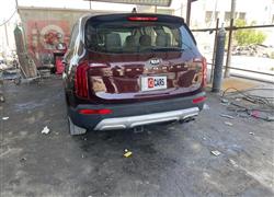 كيا تيلوريد